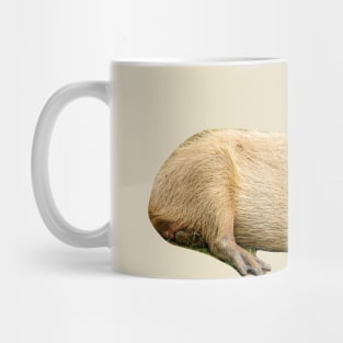 Lazy Sunday afternoon Capybara Mug